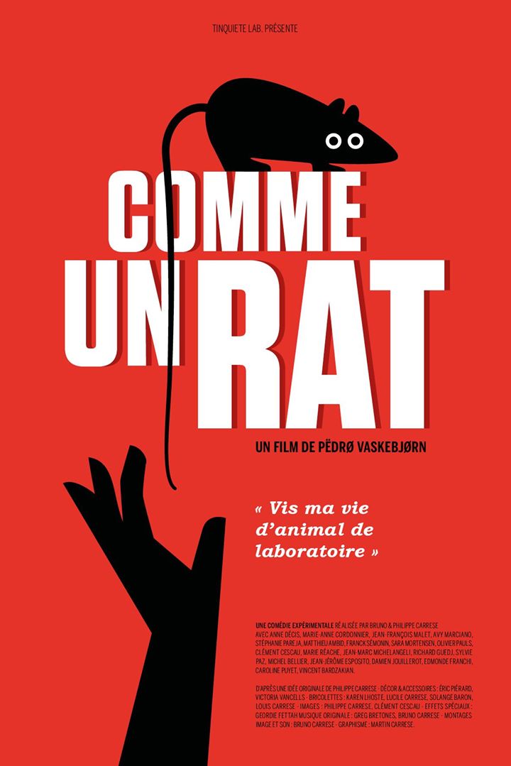 Comme un rat - affiche du film